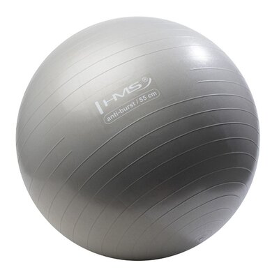 Piłka gimnastyczna HMS YB02 Grafitowy (55 cm) Piłka do ćwiczeń