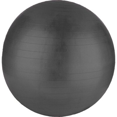 Piłka gimnastyczna XQMAX Antiburst Szary (75cm) Piłka do ćwiczeń